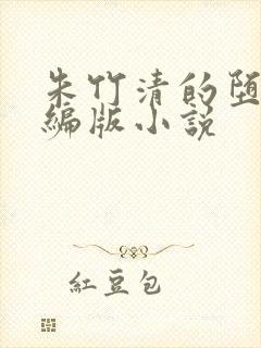 朱竹清的堕落改编版小说