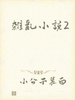 杂乱小说2