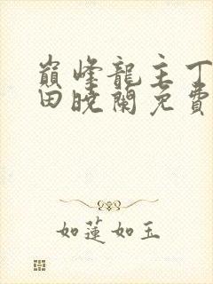 巅峰龙主丁长顺田晓兰免费阅读