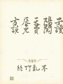 方辰天阳子的小说免费阅读