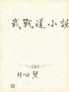武战道小说