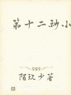 第十二秒小说