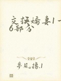 交换娇妻1一36部分