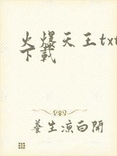 火爆天王txt下载