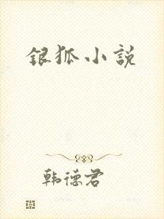 银狐小说