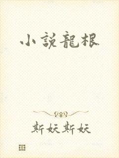 小说龙根