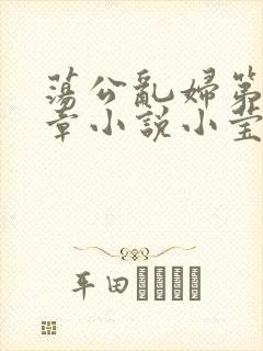 荡公乱妇第51章小说小莹