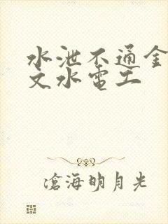 水泄不通金银原文水电工