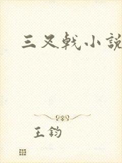 三叉戟小说