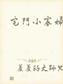 宅门小寡妇