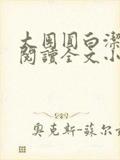 大团圆白洁免费阅读全文小说