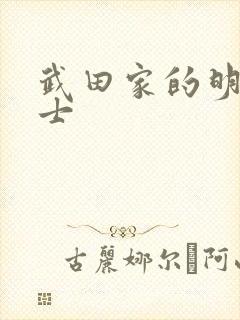 武田家的明国武士