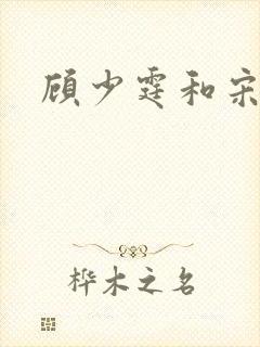 顾少霆和宋斯曼