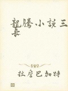 龙腾小说三宝局长
