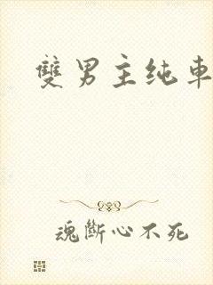 双男主纯车骨科
