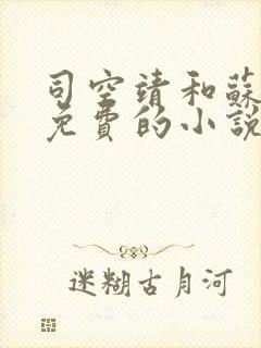 司空靖和苏月汐免费的小说笔趣阁