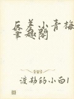 反差小青梅藏心笔趣阁