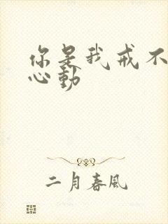 你是我戒不掉的心动