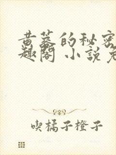 黄蓉的秘密 笔趣阁 小说免费阅读