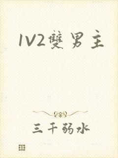 1V2双男主