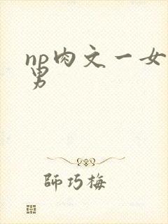np肉文一女多男