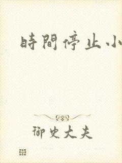 时间停止小说