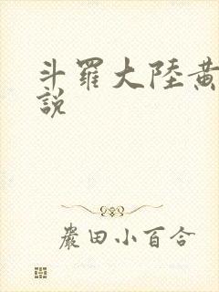 斗罗大陆黄色小说