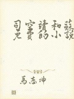 司空靖和苏月汐免费的小说笔趣阁