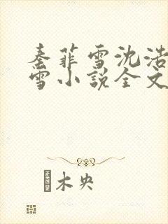 秦菲雪沈浩秦菲雪小说全文免费阅读求书