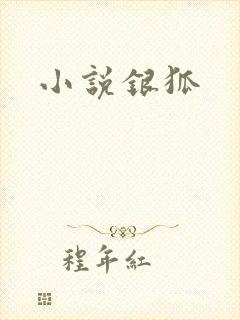小说银狐