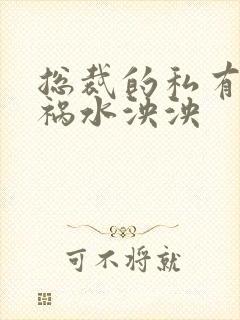 总裁的私有宝贝祸水泱泱