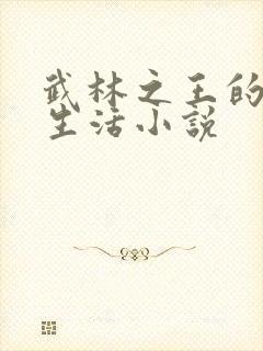 武林之王的退隐生活小说