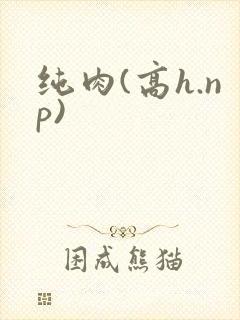 纯肉(高h.np)