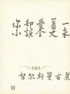 你却爱着一个他小说全文未删减免费