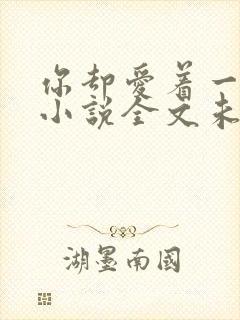 你却爱着一个他小说全文未删减免费