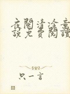 夜阑清冷意欢小说免费阅读