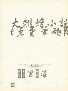 大杂烩小说txt免费笔趣阁