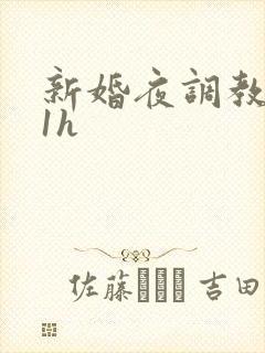 新婚夜调教1v1h