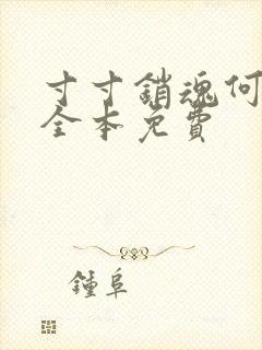 寸寸销魂何生祥全本免费