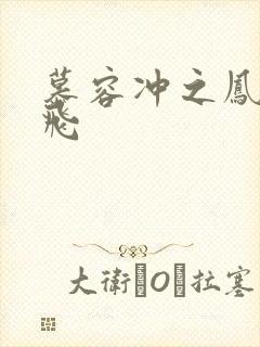 慕容冲之凤凰于飞