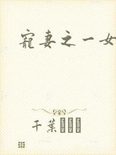 宠妻之一女二夫