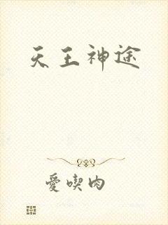 天王神途
