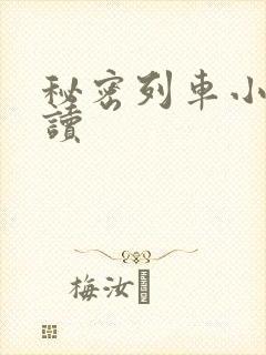 秘密列车小说阅读