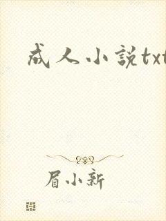 成人小说txt