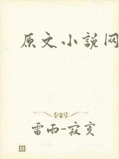 原文小说网