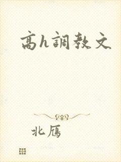 高h调教文