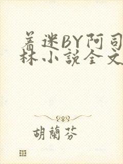 着迷BY阿司匹林小说全文免费阅读