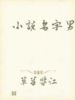 小说名字男生