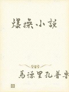 爆操小说
