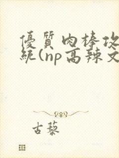 优质肉棒攻略系统(np高辣文)